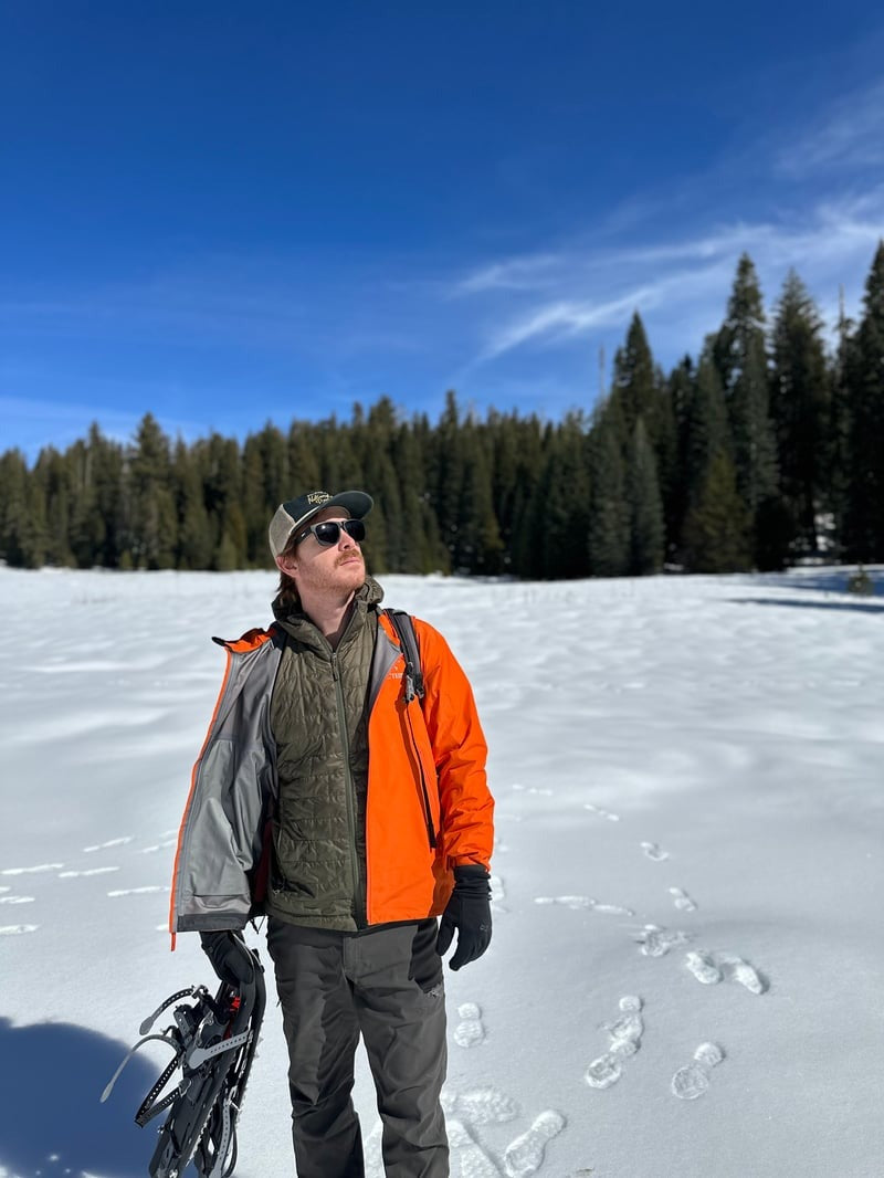 Sequoia - Black Obsidian & Smoke