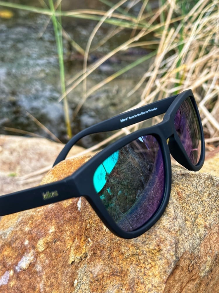 Daypack - Black Obsidian & Evergreen