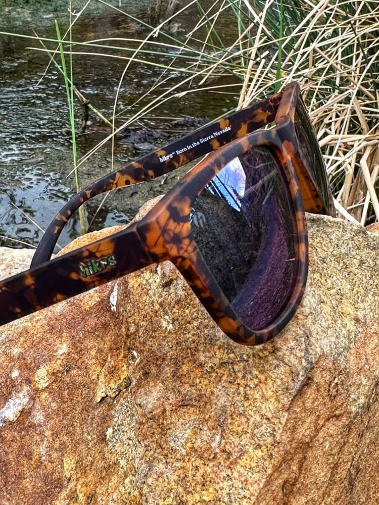 Daypack - Tortoise & Evergreen