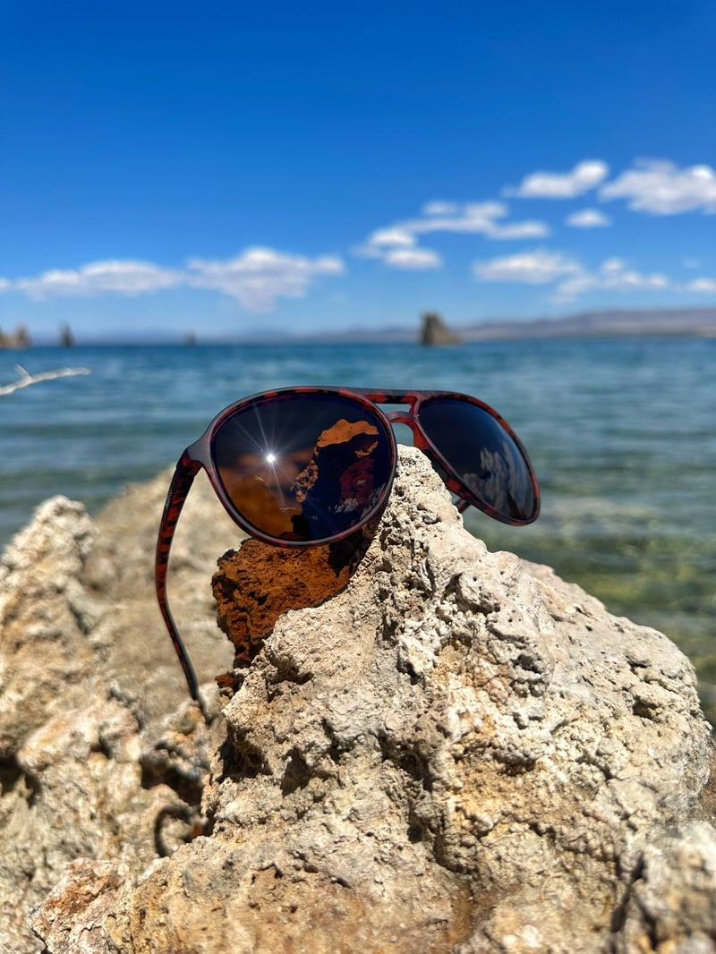 Major Shade - Tortoise & Brown