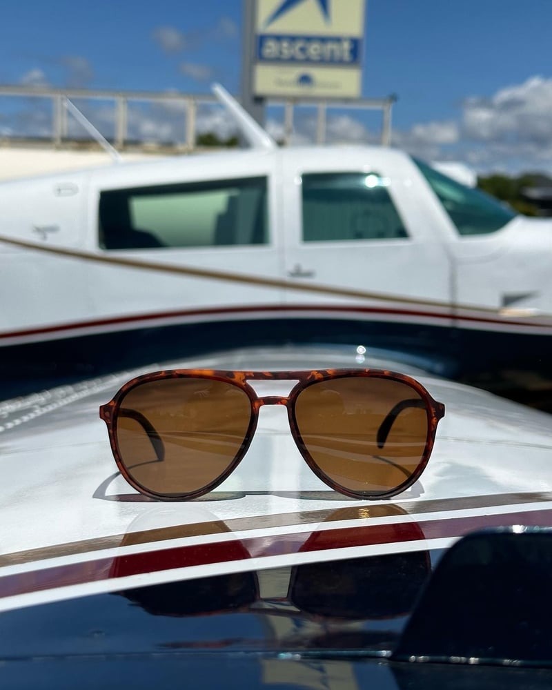 Major Shade - Tortoise & Brown