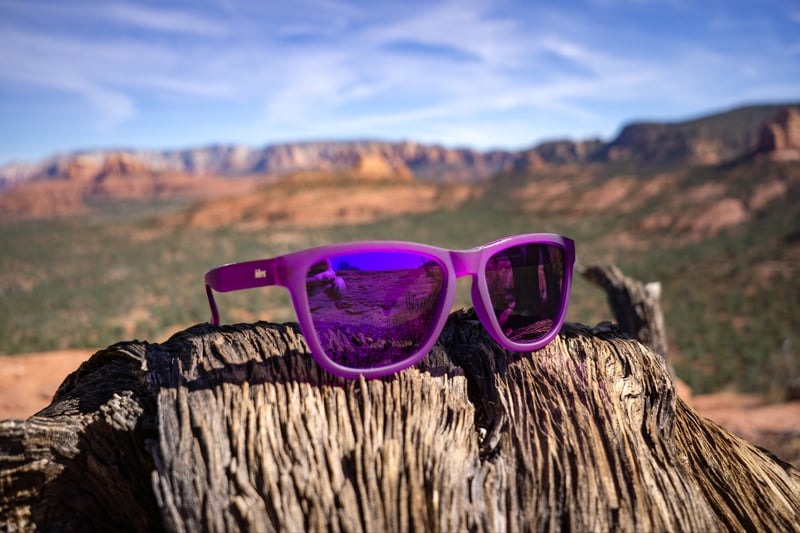 Daypack - Lupine & Evergreen