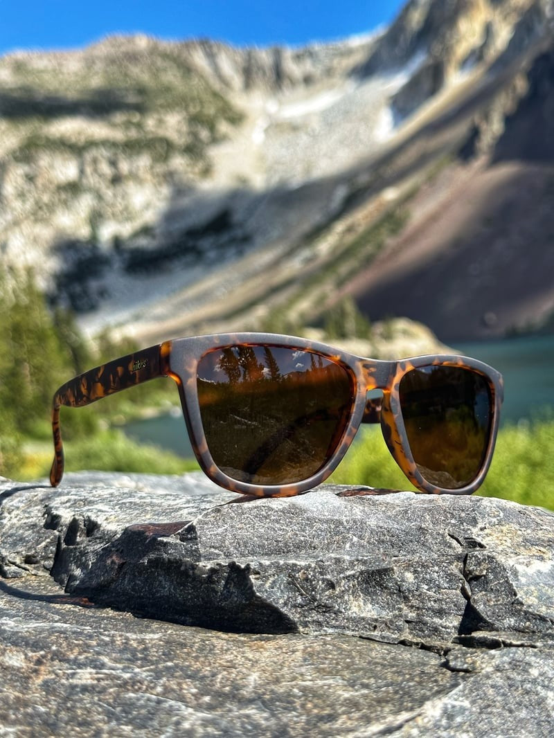 Daypack - Tortoise & Brown