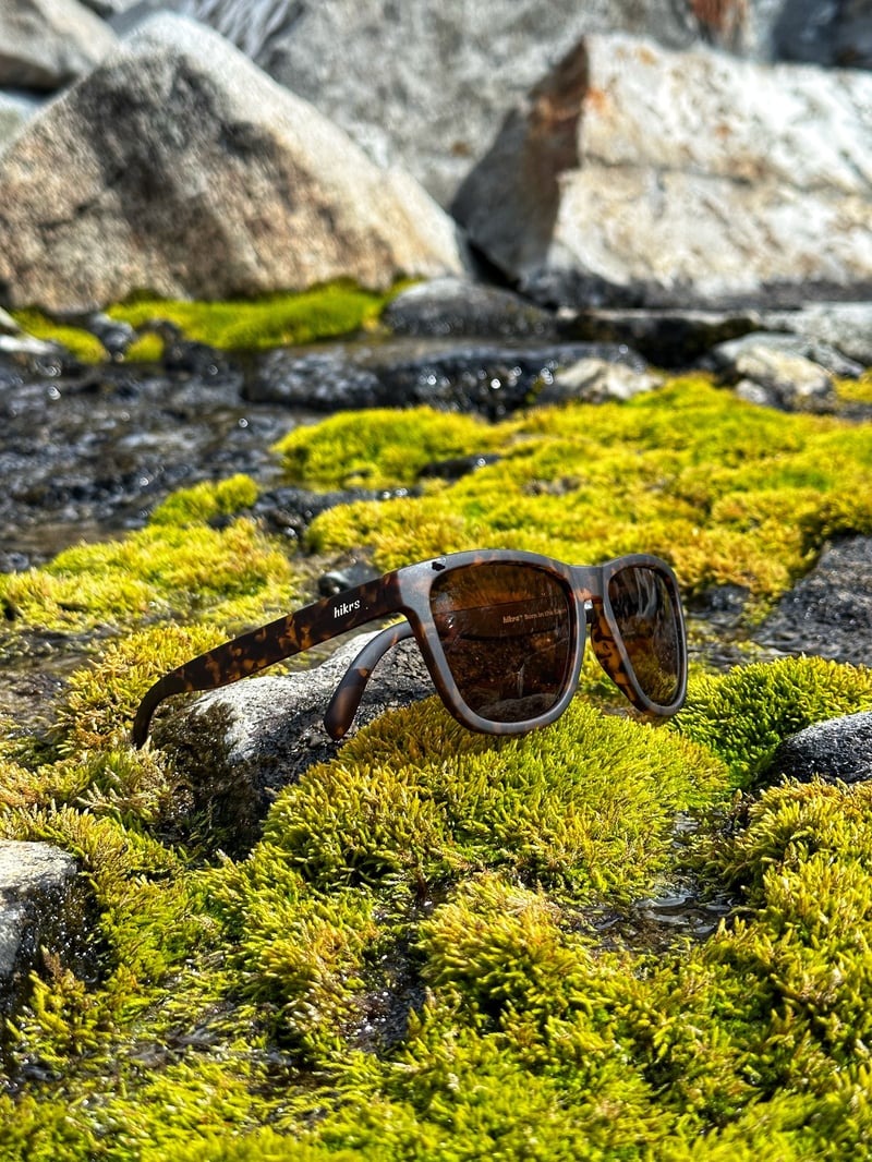 Daypack - Tortoise & Brown