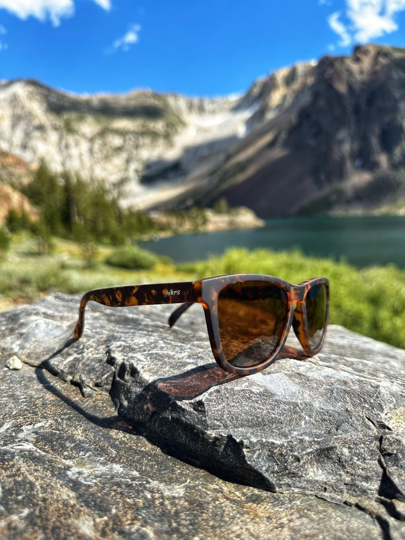 Daypack - Tortoise & Brown