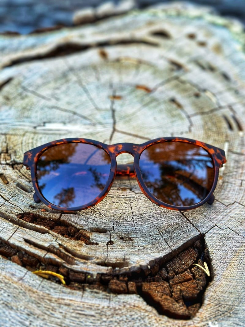 Yosemite - Tortoise & Brown